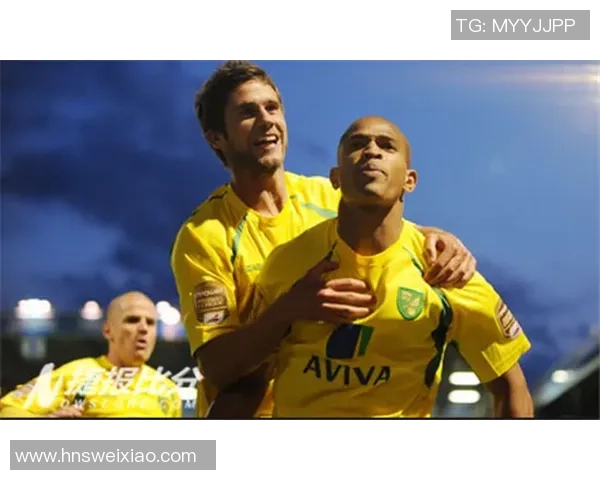 诺维奇与伊普斯维奇的激烈对决揭示英冠赛季新动态